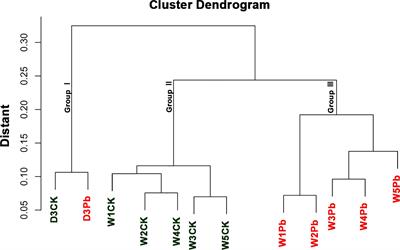 Multiple transcription factors involved in the response of Chinese cabbage against Plasmodiophora brassicae